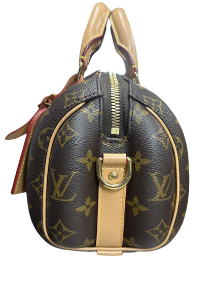 LOUIS VUITTON Monogram Theda PM Handbag Brown Gold Hardware LO2291