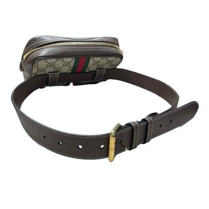 GUCCI GG Supreme Canvas Ophidia GG Supreme Belt Bag Belt Bag Beige/Ebony/Brown/Red/Green Gold Hardware GU681