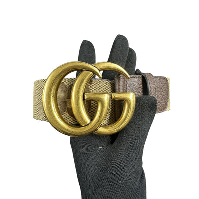 Belts & Scarves